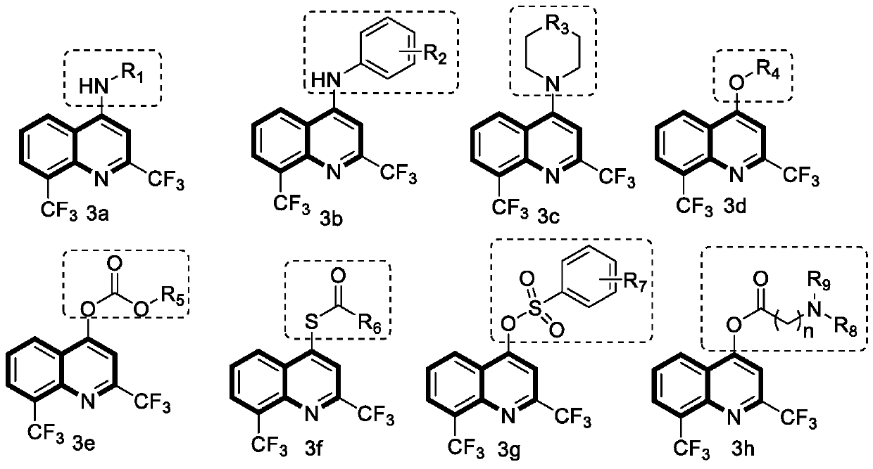 Application of 2,8-bis(trifluoromethyl)quinoline 4-modified derivatives in prevention and treatment of plant diseases