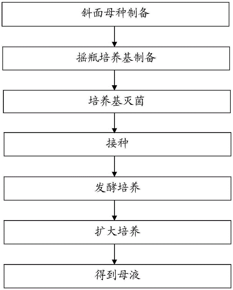 Edible fungus plant protein drink and preparation method thereof