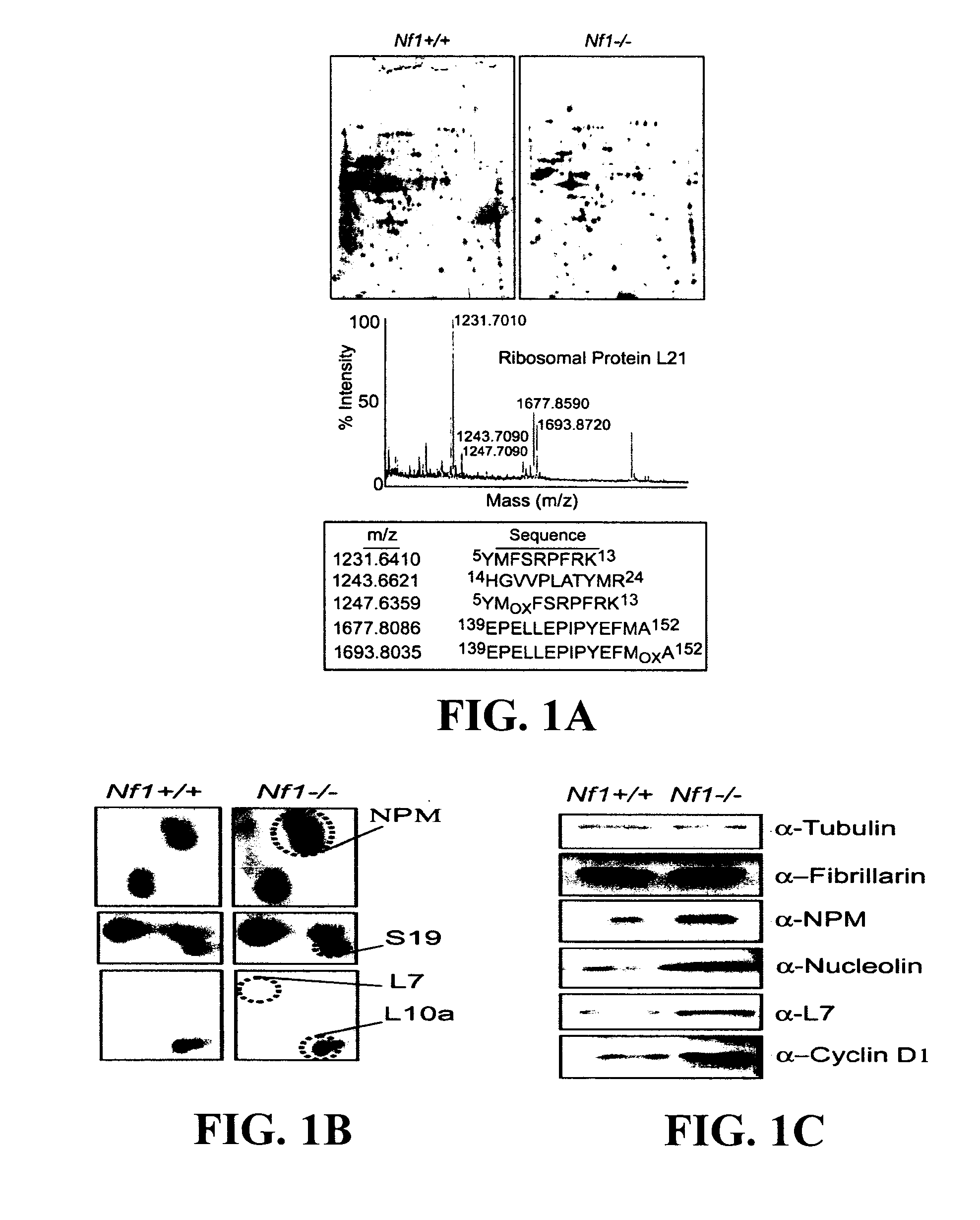 Methods for treating neurofibromatosis 1