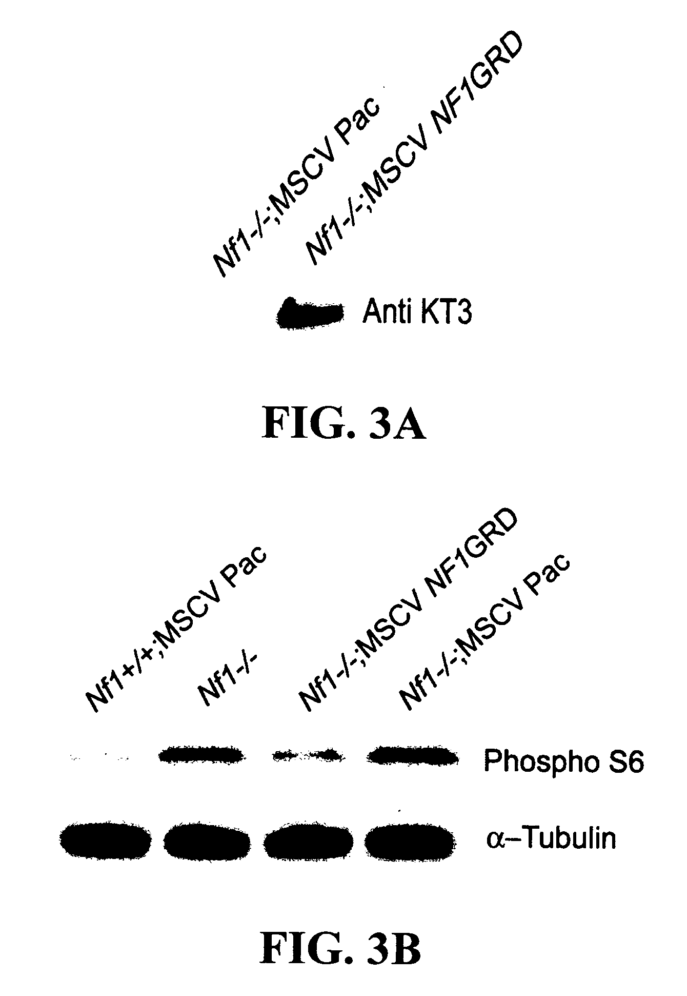 Methods for treating neurofibromatosis 1