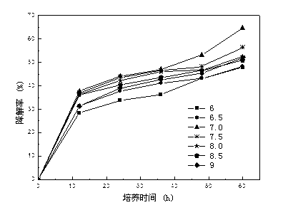 Dibutyl phthalate degrading bacteria and application of dibutyl phthalate degrading bacteria