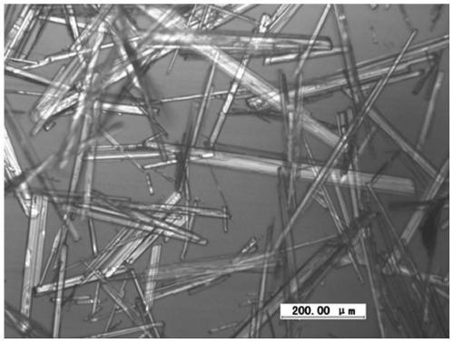 Method for preparing calcium sulfate whiskers from phosphogypsum