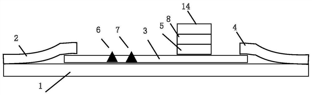 Trichina antibody double-hole rapid detection card and detection method