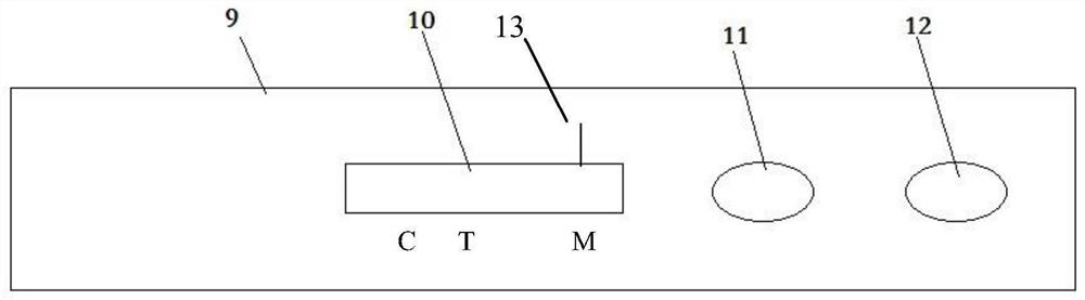 Trichina antibody double-hole rapid detection card and detection method