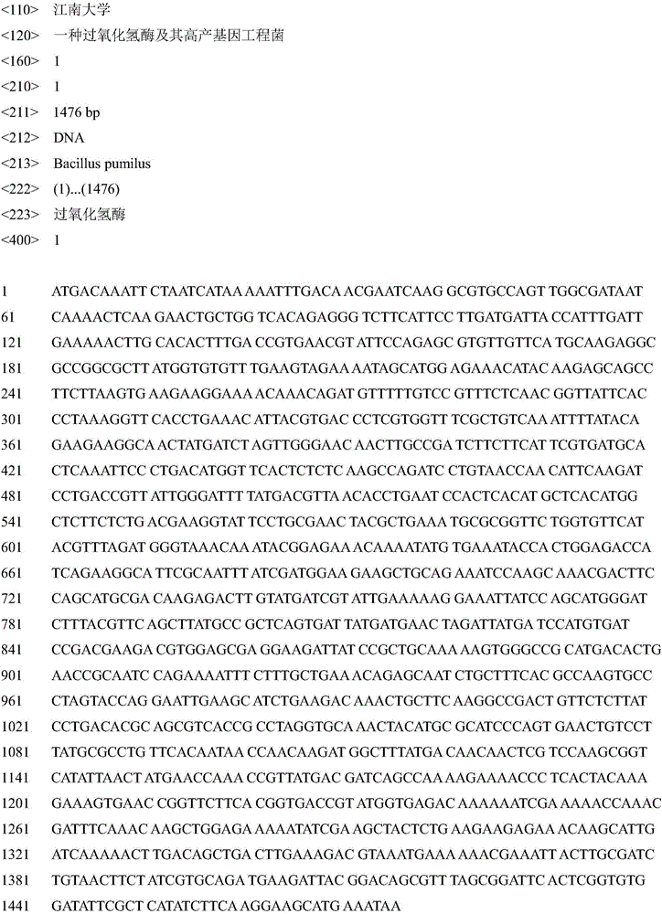 Catalase and high-yielding genetic engineering strains thereof