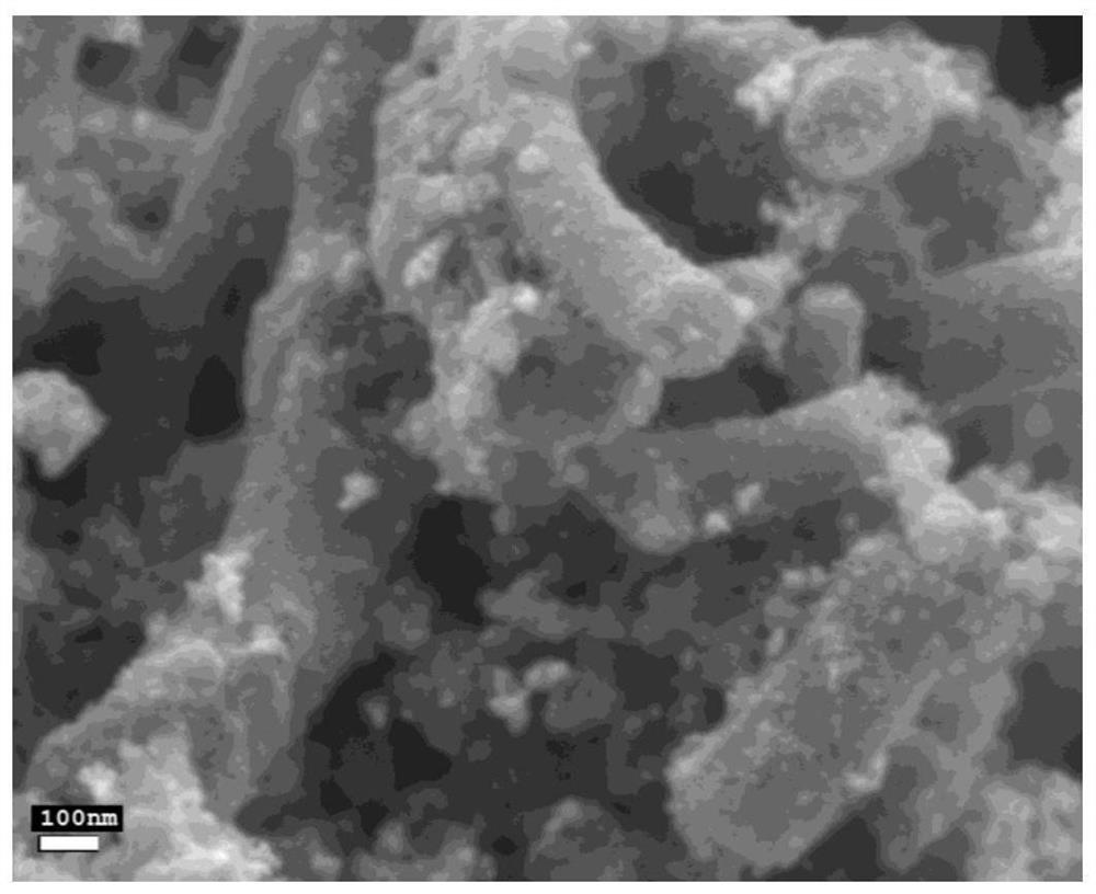 Composite material and catalyst supported by composite material and its preparation and application