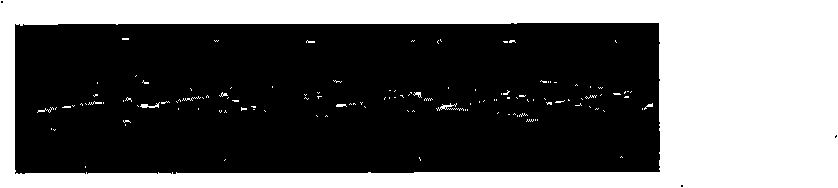 Preparation method of monoclonal antibody coating biology stand