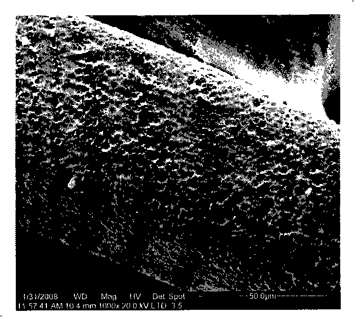 Preparation method of monoclonal antibody coating biology stand