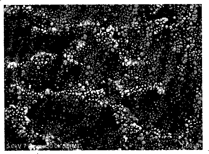 Preparation method of monoclonal antibody coating biology stand