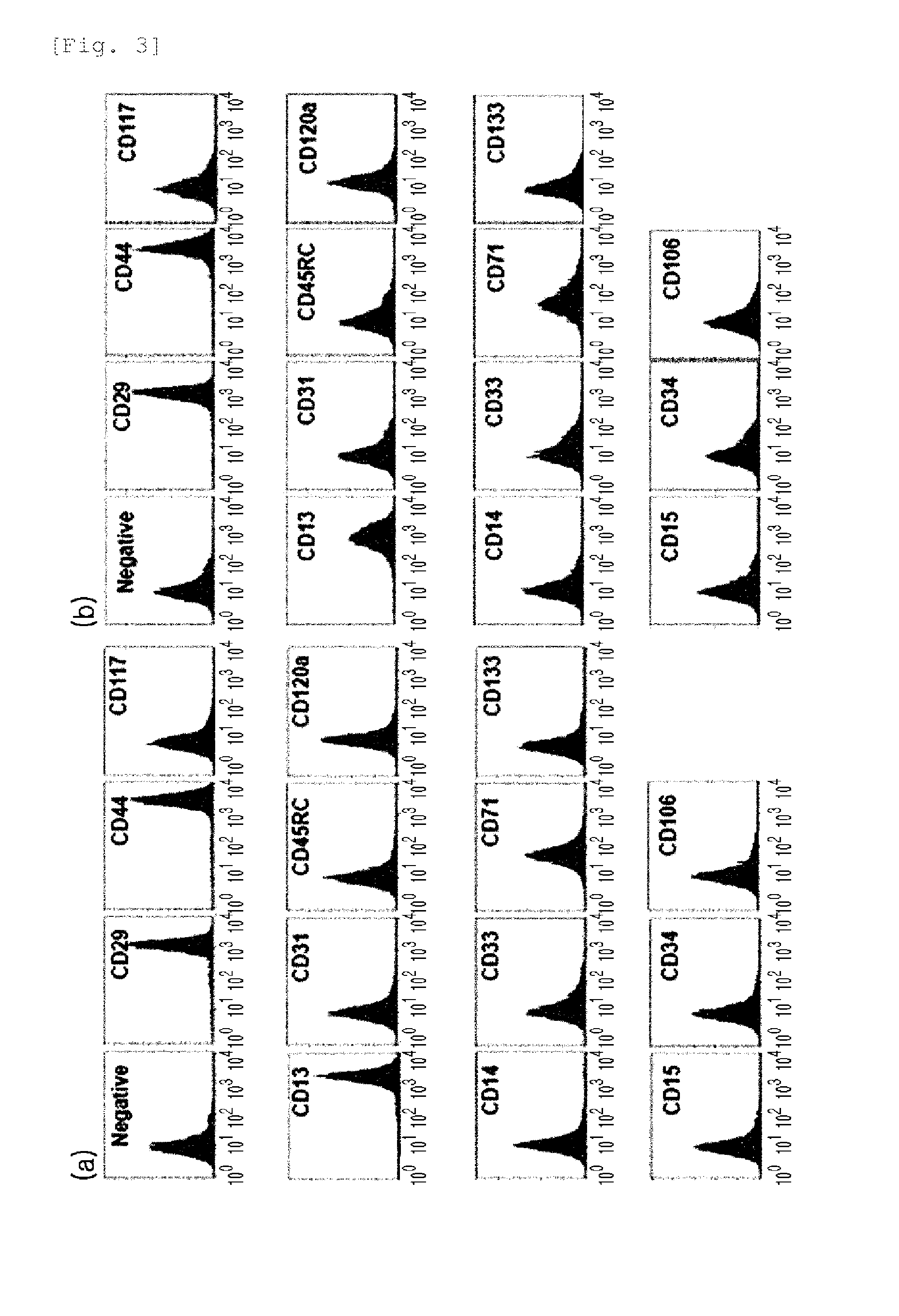 Composition for Improving Skin Conditions Using Fetal Mesenchymal Stem Cells from Amniotic Fluid