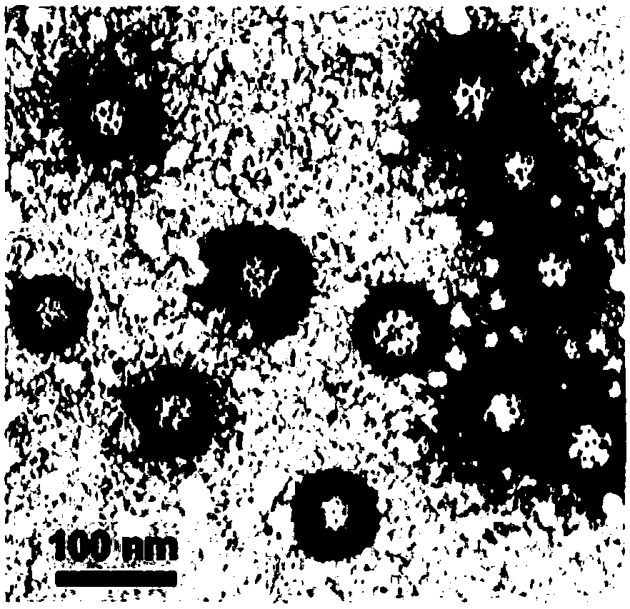 W18O49-tirapazamine composite nano-particle, and preparation method and application thereof