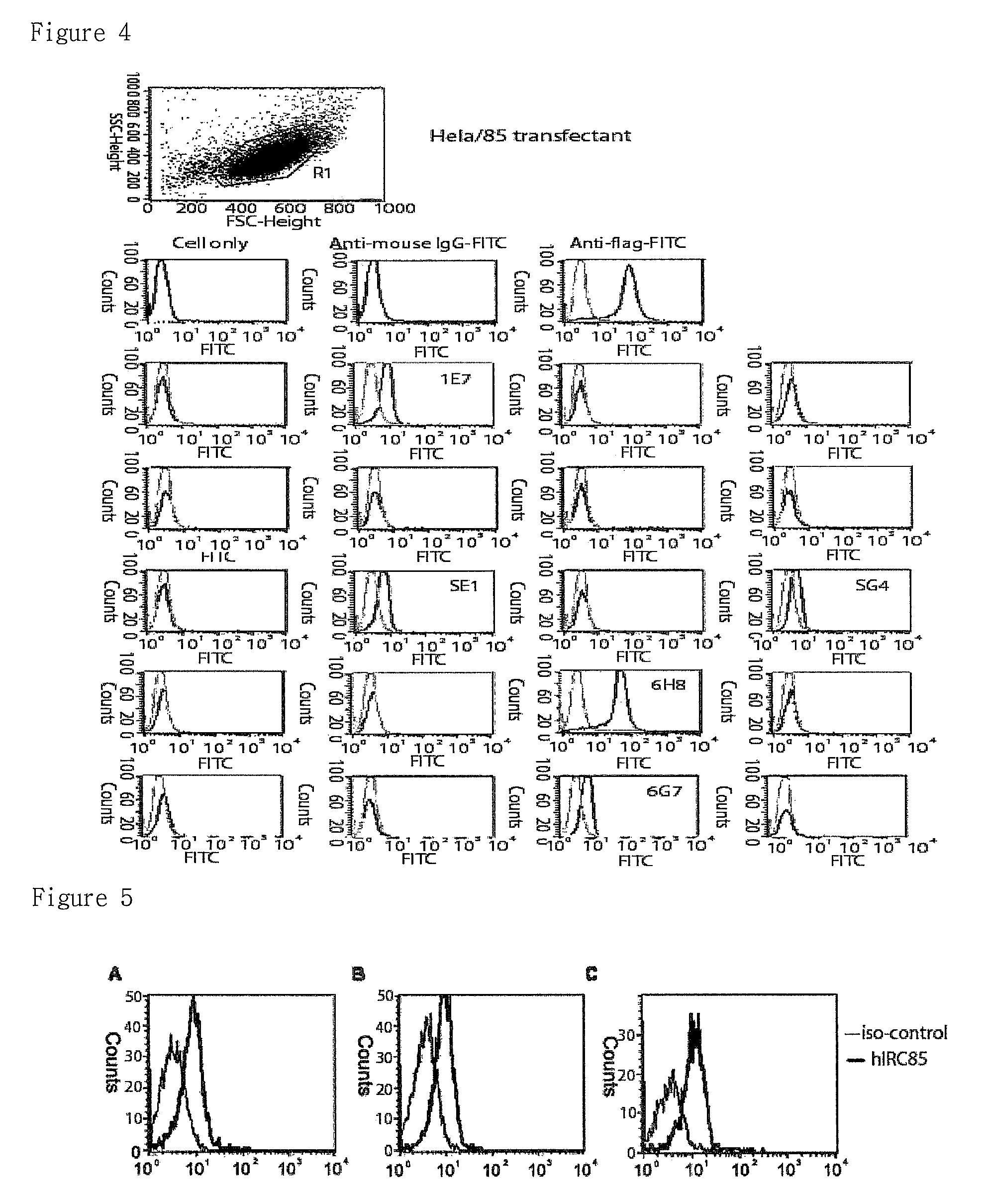 Anti-IRC85 monoclonal antibody; and composition comprising the same for preventing and treating tuberculosis or enteritis disease; and the use thereof