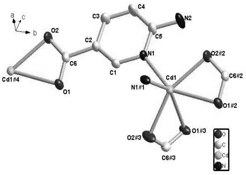 Preparation method of cadmium metal organic complex