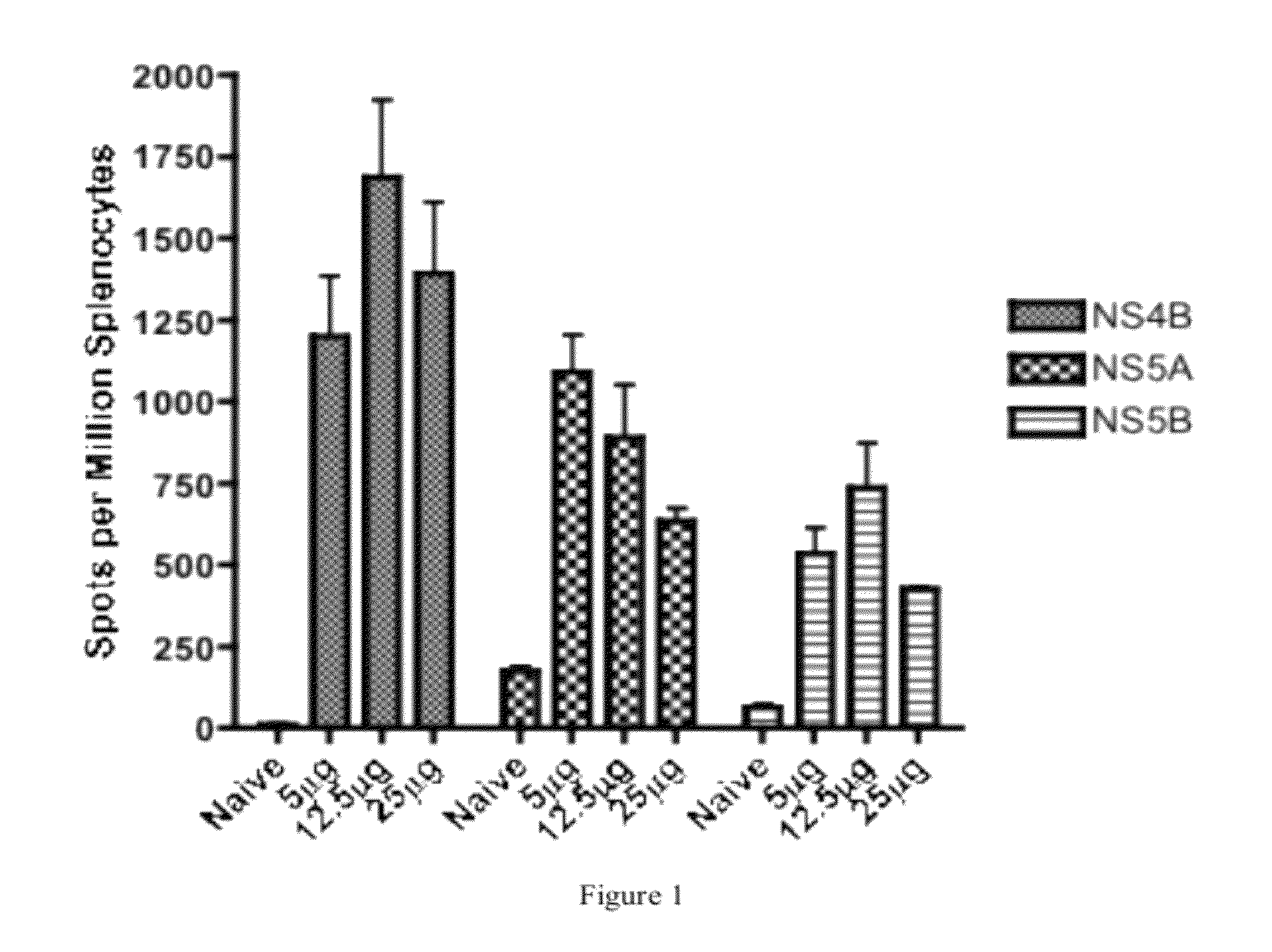 HCV vaccines and methods for using the same