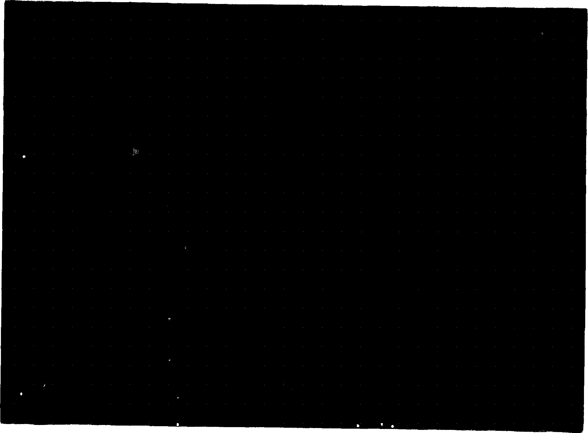 Purification decolouring method of poly aluminium chloride solution used for paper making sizing precipitant and its technology