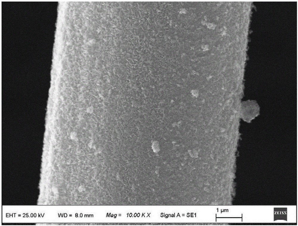 Flexible self-support negative electrode material with carbon fiber-loaded lithium titanate nanosheet and preparation method of flexible self-support negative electrode material