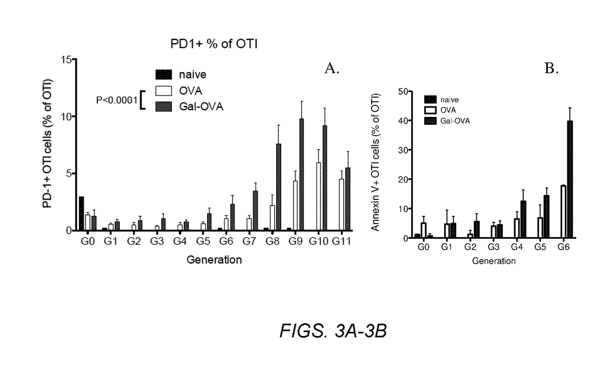 Glycotargeting therapeutics