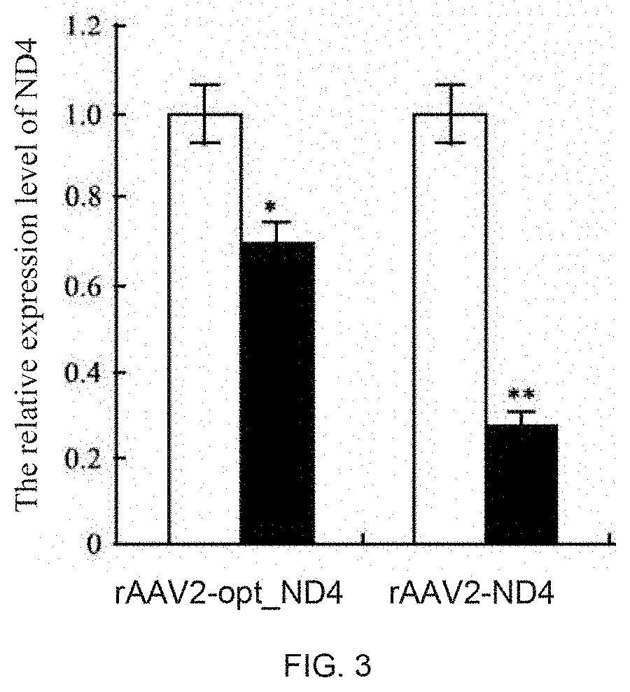 Compositions and methods for treating leber?s hereditary optic neuropathy