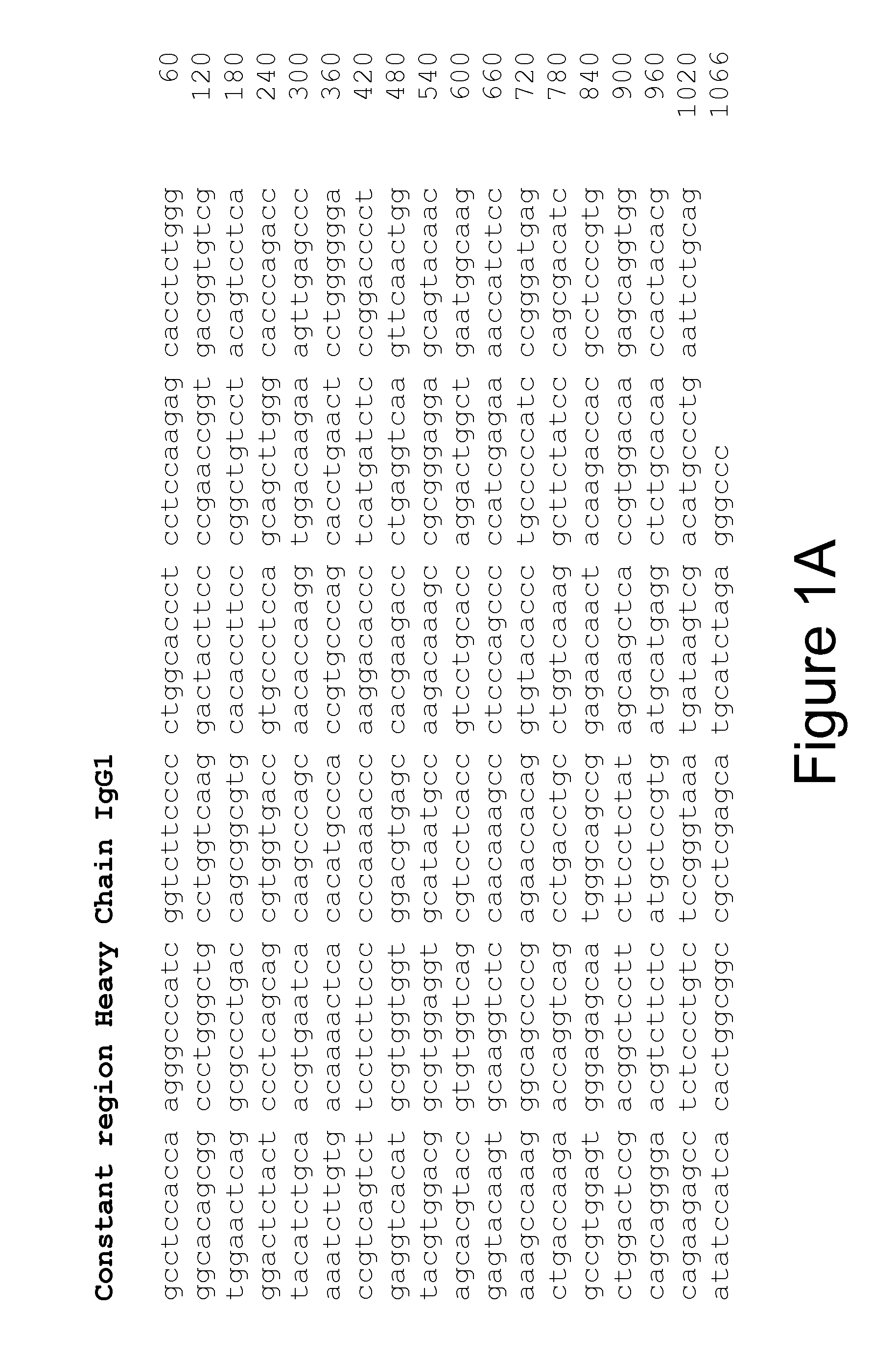 Human Anti-OPGL Neutralizing Antibodies As Selective OPGL Pathway Inhibitors