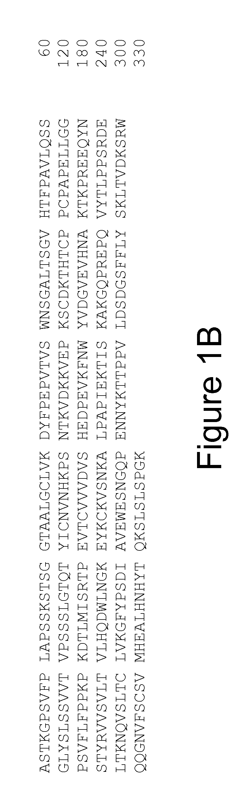 Human Anti-OPGL Neutralizing Antibodies As Selective OPGL Pathway Inhibitors