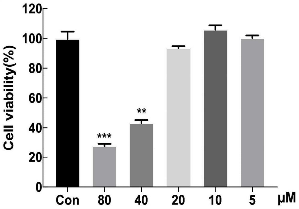 Application of small molecule compound in preparation of anti-depression drug