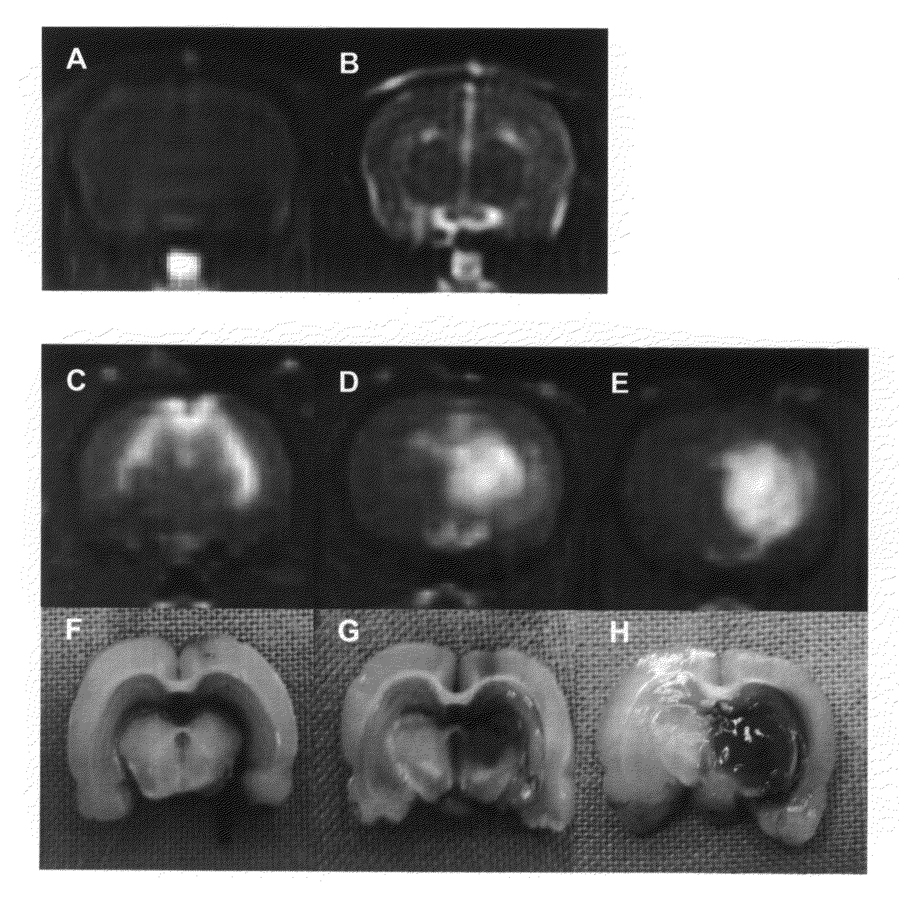 Composition for improving efficiency of drug delivery