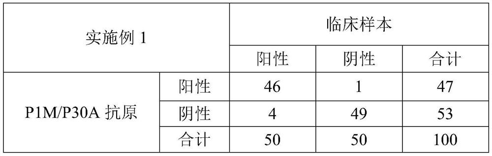 Mycoplasma pneumoniae antibody detection kit and application thereof