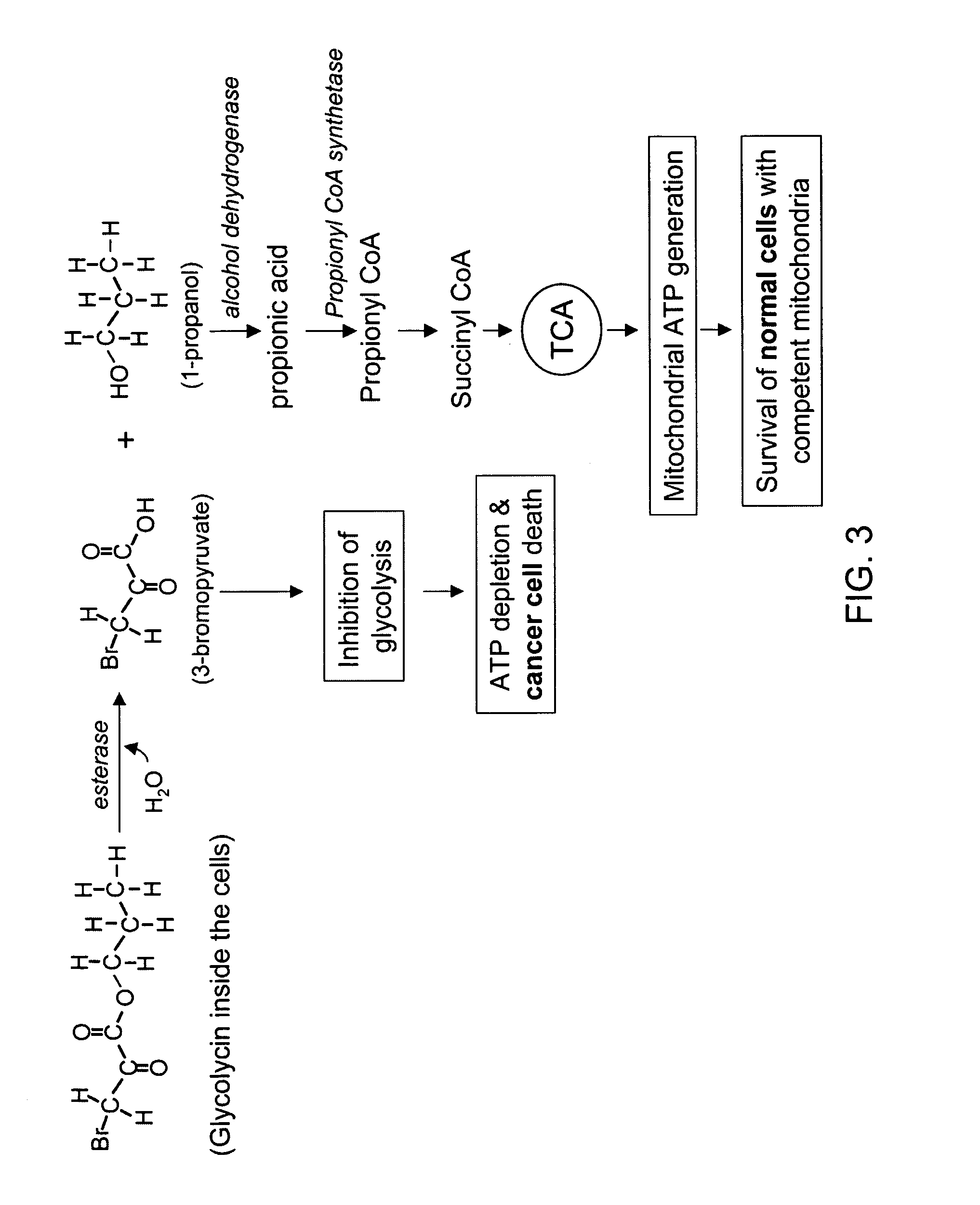 Propyl 3-bromo-2-oxopropionate and derivatives as novel anticancer agents