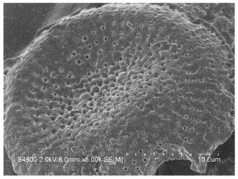 Preparation method of supported iron-molybdate catalyst and application of catalyst to degradation of dye wastewater