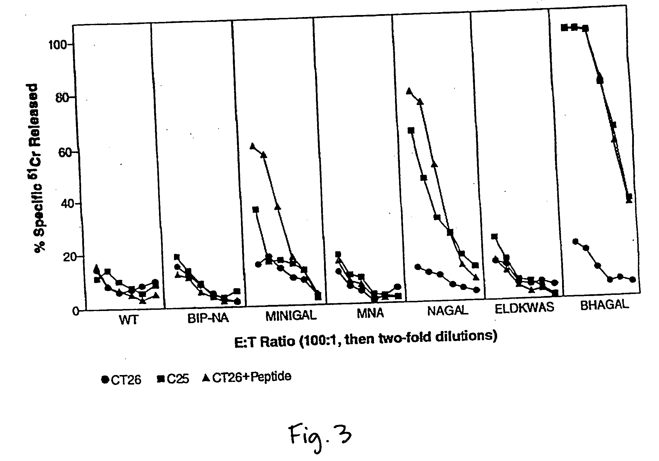 Recombinant influenza viruses expressing tumor-associated antigens as antitumor agents