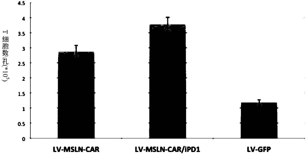 Transgenic lymphocyte co-expressing anti-mesothelin (MSLN) chimeric antigen receptor and immune checkpoint inhibitory molecule and application thereof