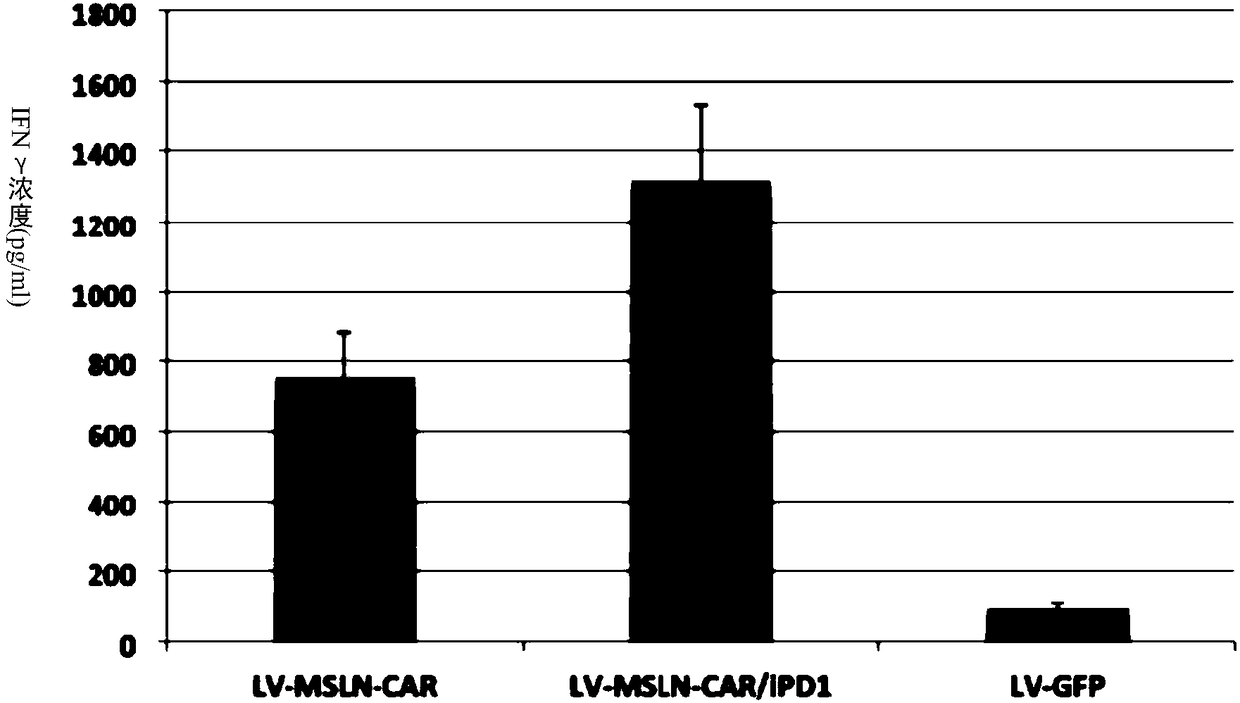 Transgenic lymphocyte co-expressing anti-mesothelin (MSLN) chimeric antigen receptor and immune checkpoint inhibitory molecule and application thereof