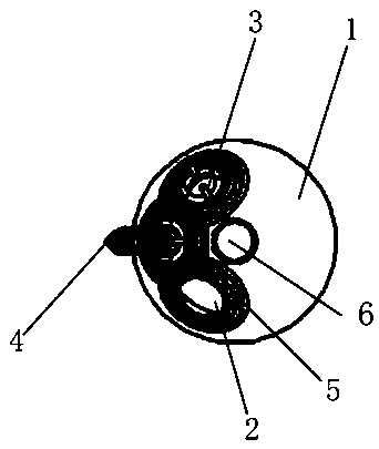 External acetabulum cup and hip joint prosthesis including the same