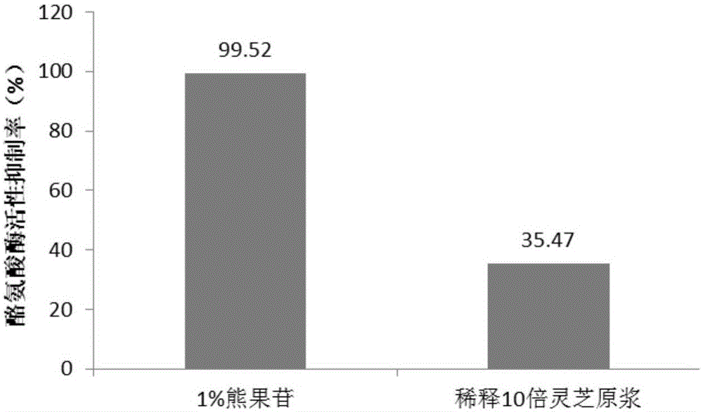 Ganoderma lucidum fermentation protoplasm cosmetic and preparation method and application thereof