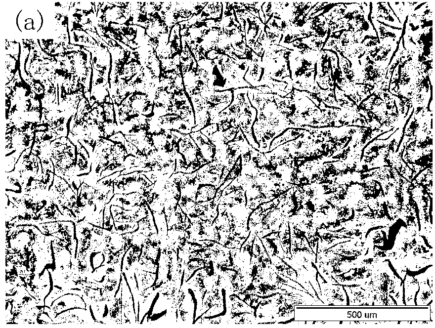 Modificator for changing growth morphology of primary austenite of gray cast irons, preparation method and application thereof