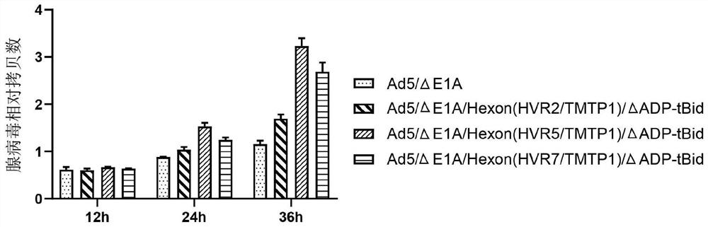 Oncolytic adenovirus recombinant carrying TMTP1 and tBid as well as construction method and application of oncolytic adenovirus recombinant