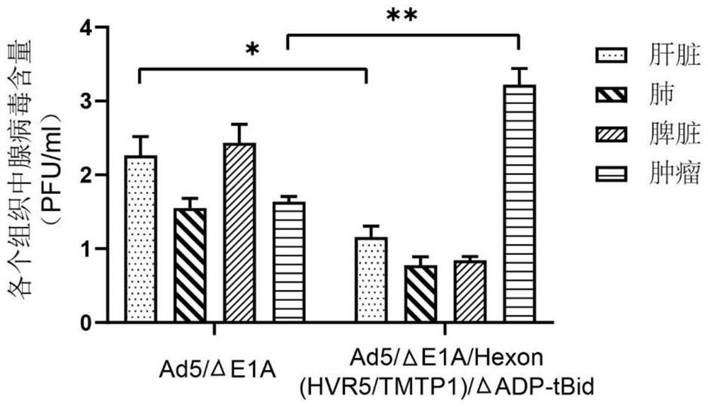 Oncolytic adenovirus recombinant carrying TMTP1 and tBid as well as construction method and application of oncolytic adenovirus recombinant