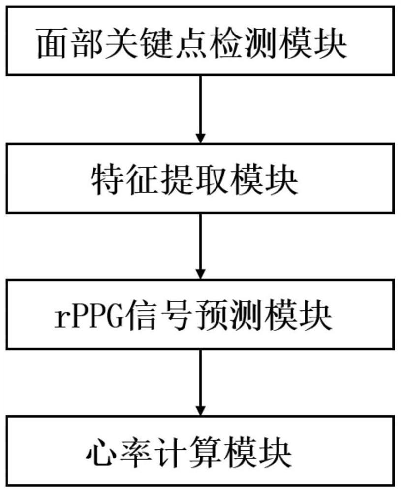 Face video heart rate estimation system and method based on token learning