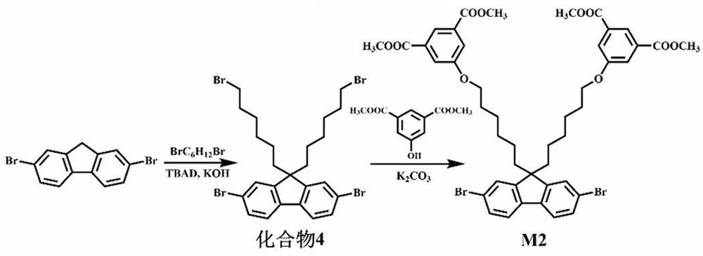 A kind of amphiphilic fluorescent conjugated polymer, preparation method and application