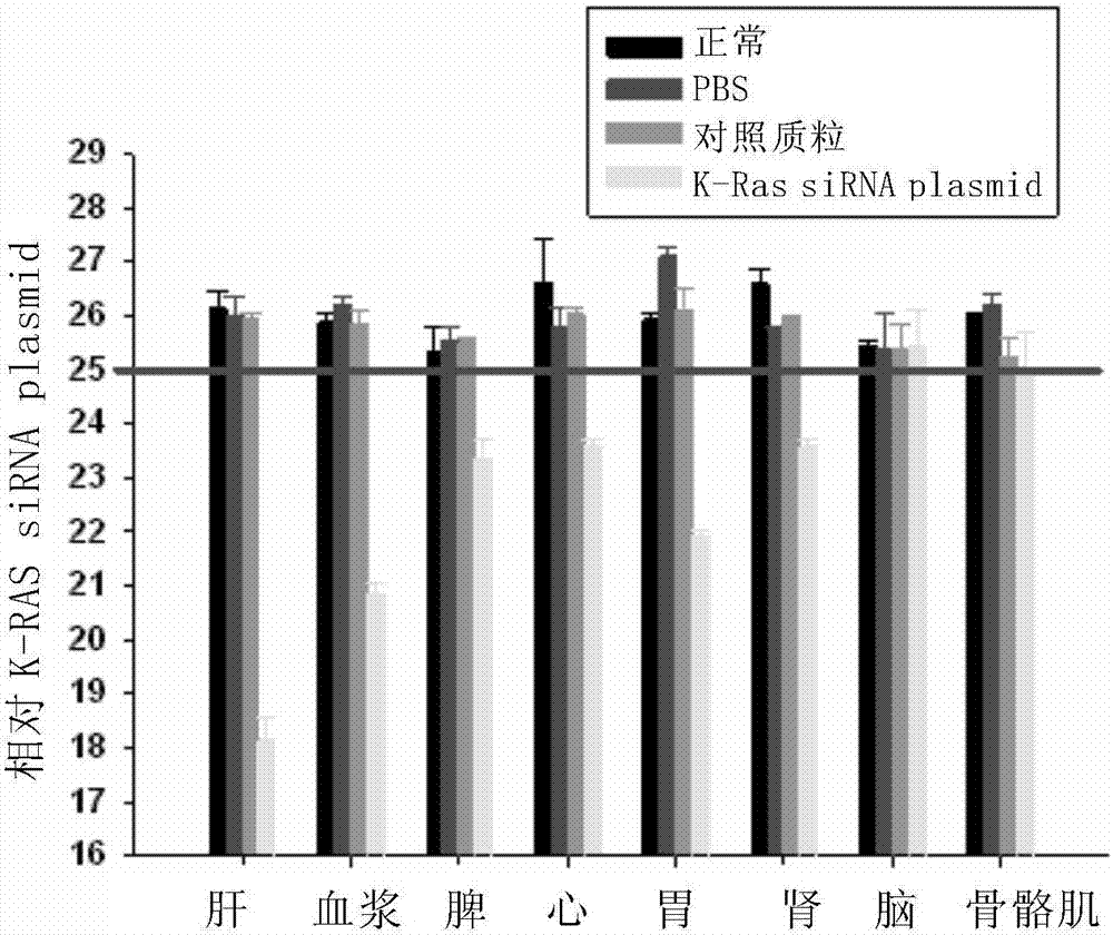 siRNA for inhibiting expression of K-RAS genes as well as precursor and application thereof