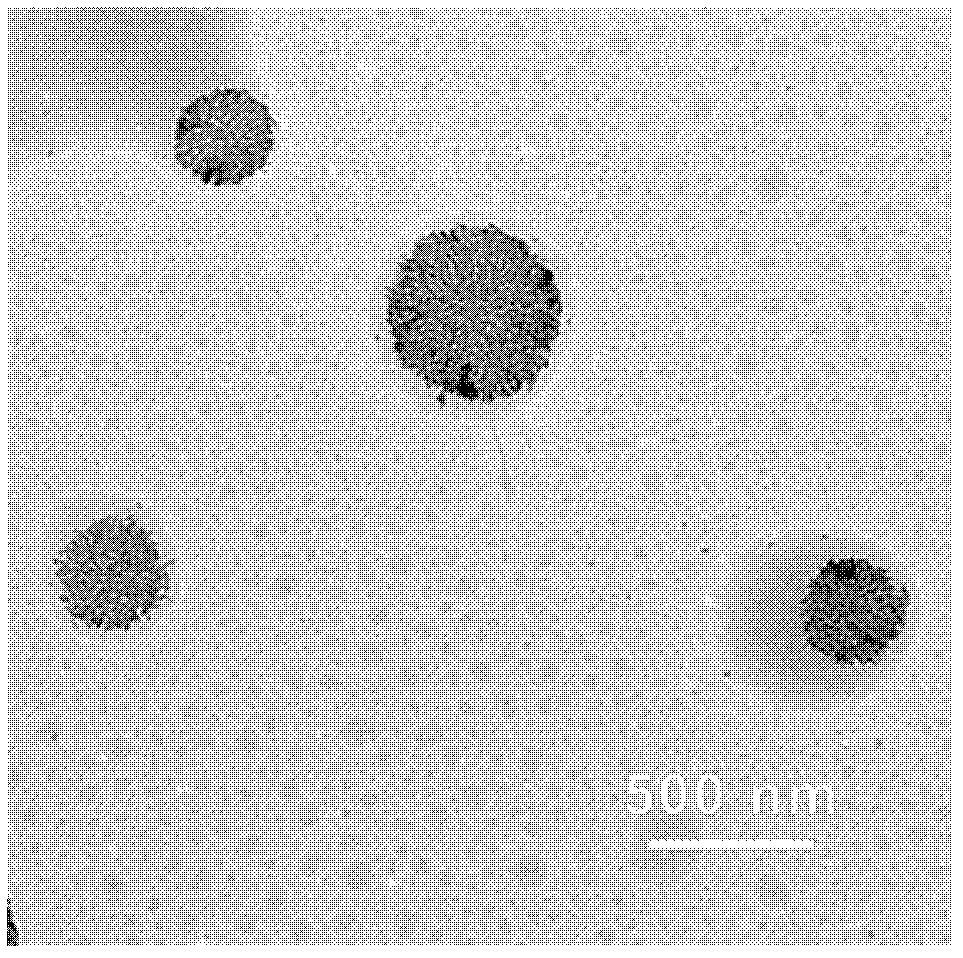 Preparation method of core-shell structure collagen polypeptide chelated calcium nanoparticle