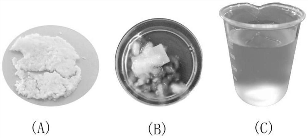 Preparation method of sulfonated cellulose