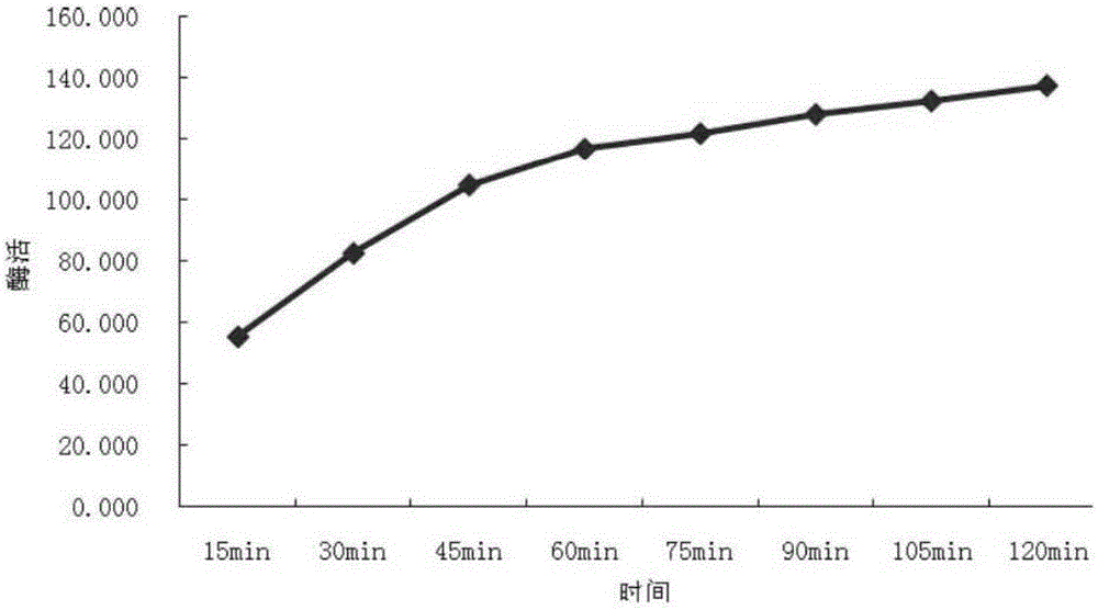 Method for degrading aflatoxins in peanut meal by utilizing solid fermentation of fructificatio amaurodermatis rudae