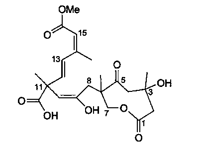 Application of Sarcaboside B in preparation of medicines for treating lung cancer