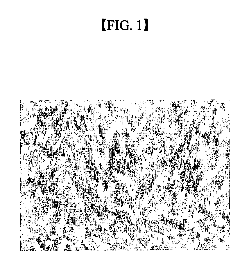 Method for differentiating mesenchymal stem cell into neural cell and pharmaceutical composition containing the neural cell for neurodegenerative disease