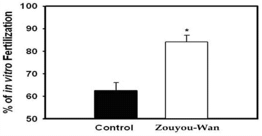 New application of traditional Chinese medicine compound medicinal composition