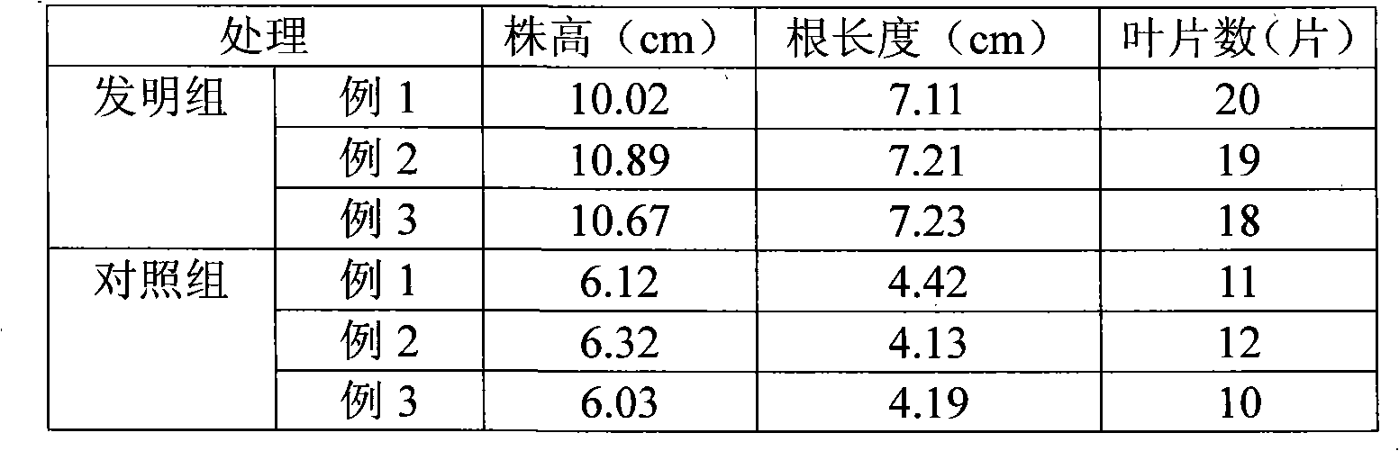 Soilless culture substrate for violet