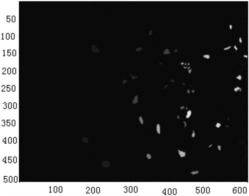 Depth belief network-based neighborhood weighted averaging hyperspectral image classification method