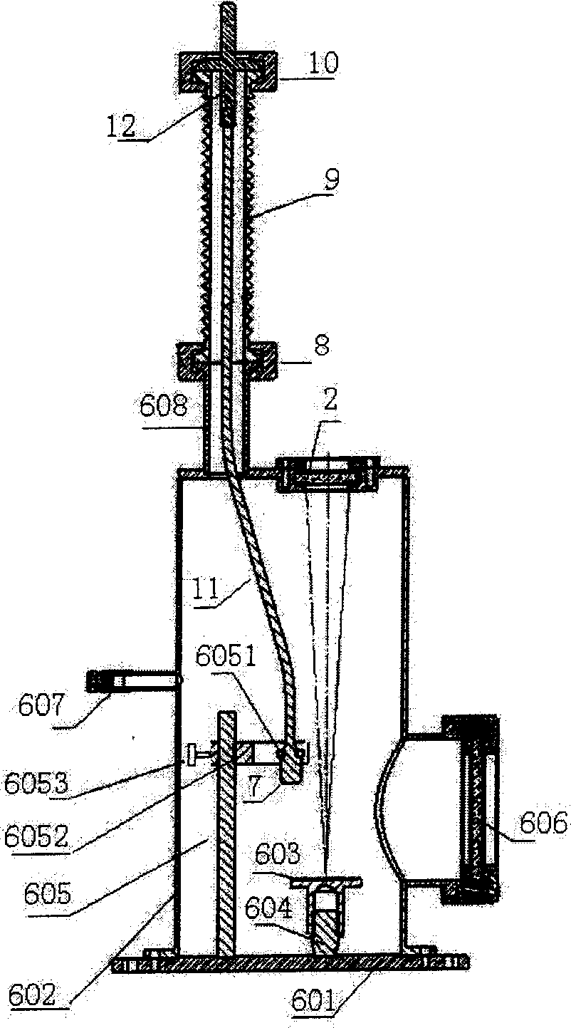 Laser inductive dissociation spectrum detection system for space environment simulation and detection method thereof