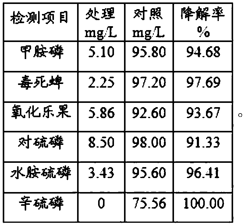 Trichoderma fungus and its agent for degrading organophosphorus pesticides